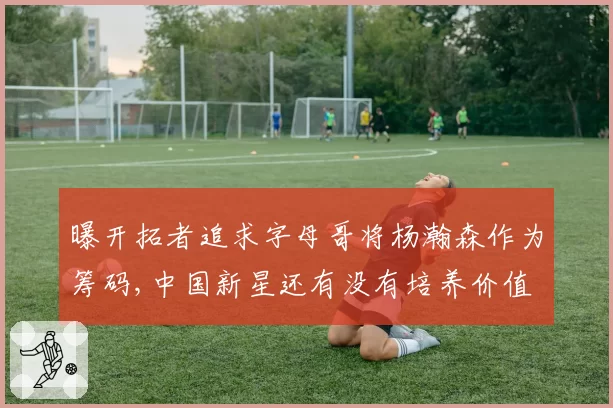 曝开拓者追求字母哥将杨瀚森作为筹码,中国新星还有没有培养价值