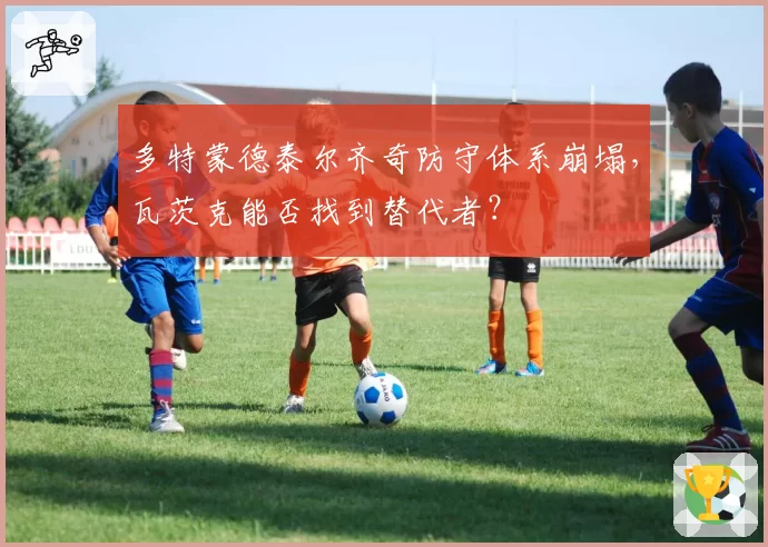 多特蒙德泰尔齐奇防守体系崩塌，瓦茨克能否找到替代者？