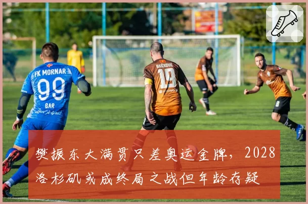 樊振东大满贯只差奥运金牌,2028洛杉矶或成终局之战但年龄存疑