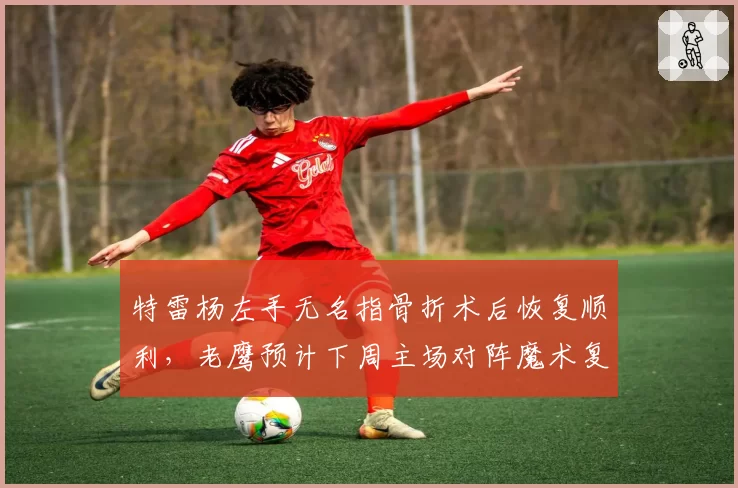 特雷杨左手无名指骨折术后恢复顺利,老鹰预计下周主场对阵魔术复出
